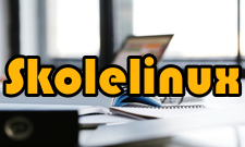 Skolelinux安装