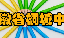 安徽省桐城中学教师成绩时间奖项获奖人2006年安徽省优质课大