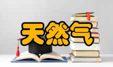 天然气地质四川省重点实验室人才队伍建设