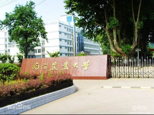 南京农业大学密西根学院专业规模