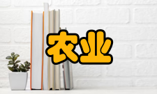 农业经济管理社会职能