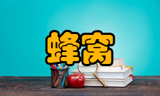 蜂窝移动通信微蜂窝