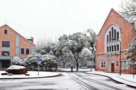 上海理工大学管理学院愿景