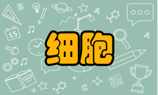 细胞破碎原理与技术高压均质机