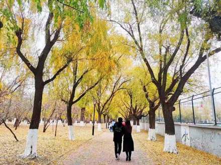 长春工业大学科研平台