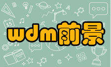 wdm发展前景