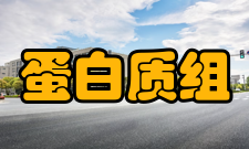 蛋白质组研究发展历史