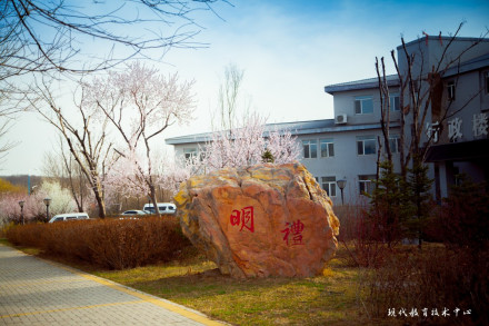 辽宁现代服务职业技术学院师资力量学院现拥有专业教师165人