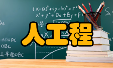 人因工程事故链