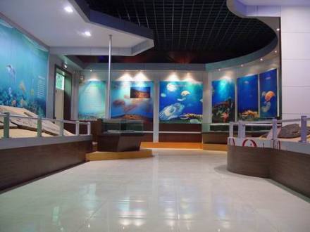 重庆自然博物馆古生物陈列