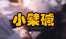 小檗碱基本信息