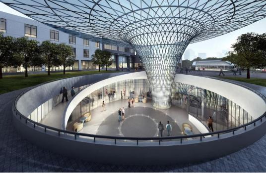 复旦大学类脑智能科学与技术研究院科研队伍