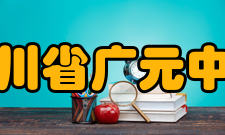 四川省广元中学对外交流2011年