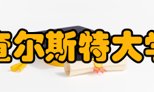 查尔斯特大学奖学金申请查尔斯特大学没有提供给本科留学生的奖学