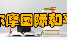 斯德哥尔摩国际和平研究所研究领域