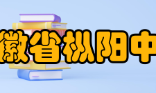 安徽省枞阳中学教师成绩1995年