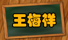 王梅祥科研成就