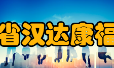广东省汉达康福协会经济康复项目