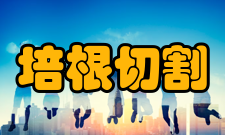 培根切割烟肉烟肉通常切割自猪的腰部或背部