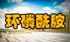 环磷酰胺性状本品为白色结晶或结品性粉末
