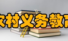 “特岗计划”15年招聘95万特岗教师