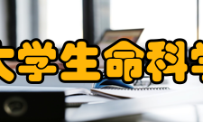 清华大学生命科学学院师资力量