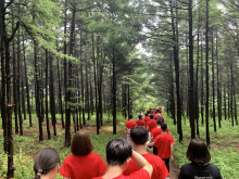 吉林大学材料科学与工程学院学科建设