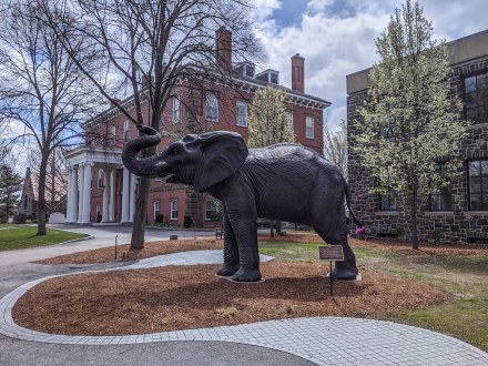 美国大学协会东北部（13所）塔夫茨大学