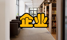 企业标准化概念