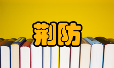 小儿麻疹发热，荆防败毒散