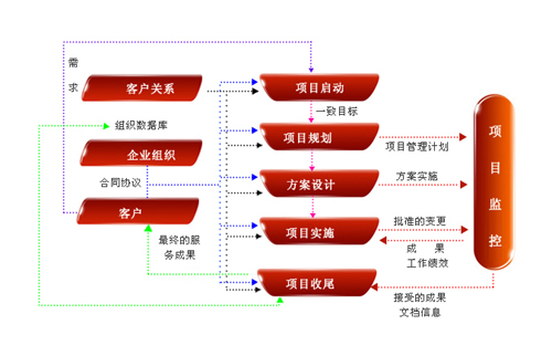 项目管理咨询总结