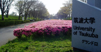 筑波大学办学模式