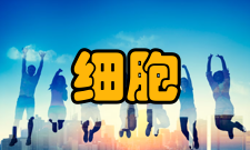 细胞工程临床医学与药物