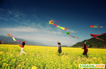 史密森尼学会风筝节