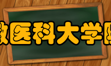 安徽医科大学院系专业