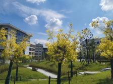 赣南卫生健康职业学院教学建设