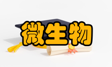微生物工程内容微生物工程又叫发酵工程
