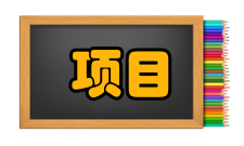 项目管理信息系统实施策略