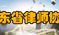 广东省律师协会常务理事