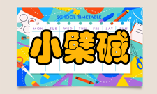 小檗碱调节血脂