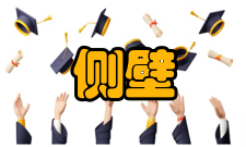 侧壁导坑法适用范围