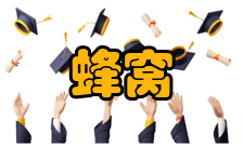 蜂窝移动通信1G