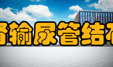 肾及输尿管结石用药治疗