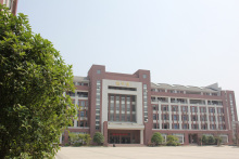 合肥幼儿师范高等专科学校师资力量