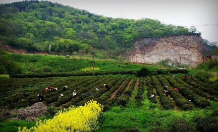 捺山地质公园建设目标