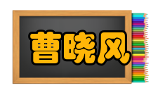 曹晓风荣誉