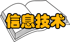 信息技术与信息化人员编制