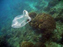 海洋垃圾海面漂浮垃圾