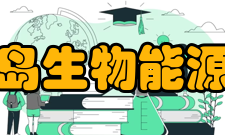 青岛生物能源与过程研究所科研成就科研成果