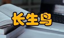 长生鸟吹箫引凤